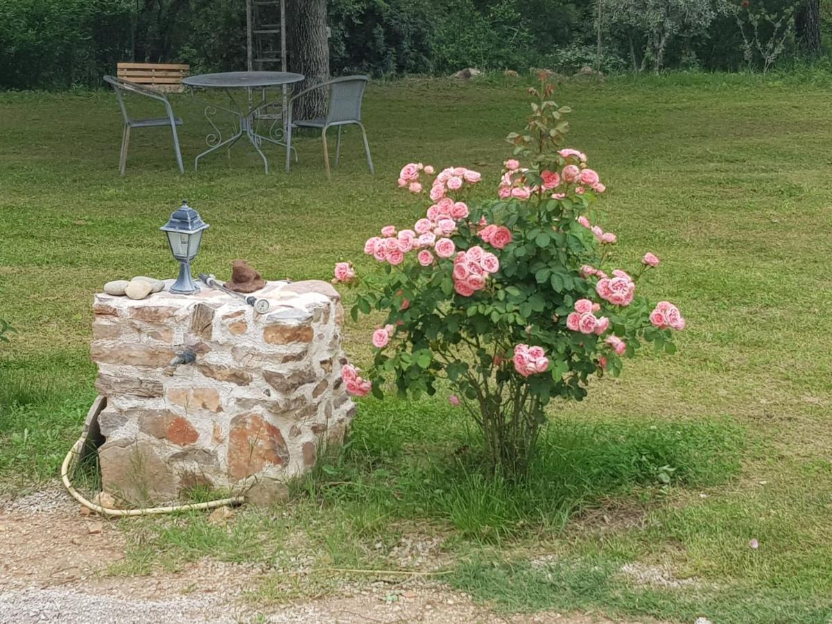 Le Jardin Des Selves Acomodação com café da manhã Draguignan Exterior foto